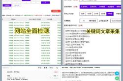 网站seo前期准备