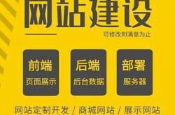 专业网站优化技术指导