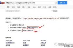 网站多快能收录seo