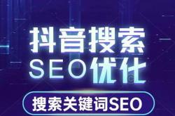 潮州抖音seo系统