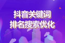 嘉义抖音seo