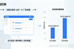 高效seo逻辑割韭菜
