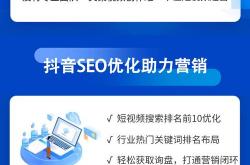 seo免费最好的视频