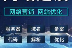 专业网站建设优化建站