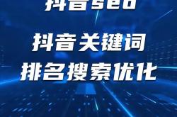 海南抖音seo在线咨询