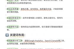 公司网站优化怎么样才能做