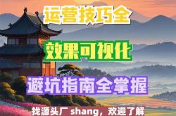 保定优化网站
