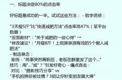 seo文章排名技巧分析