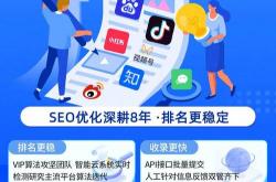 经典seo赚钱项目案例展示