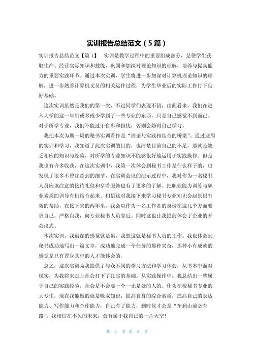 seo实训心得