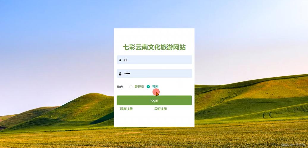云南seo样式
