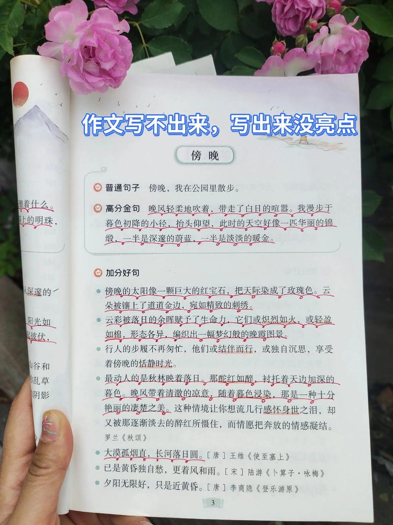 seo文章写作例子