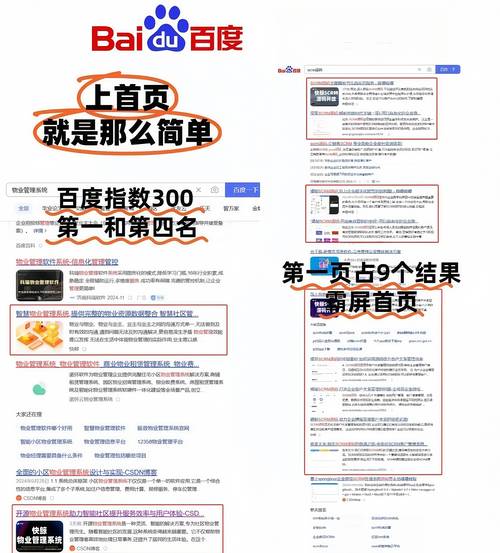 关于spaseo的信息