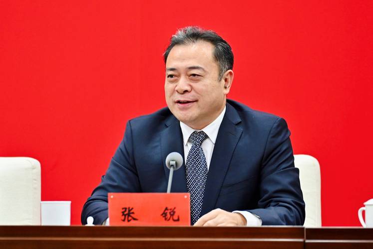 seo张锐的简单介绍
