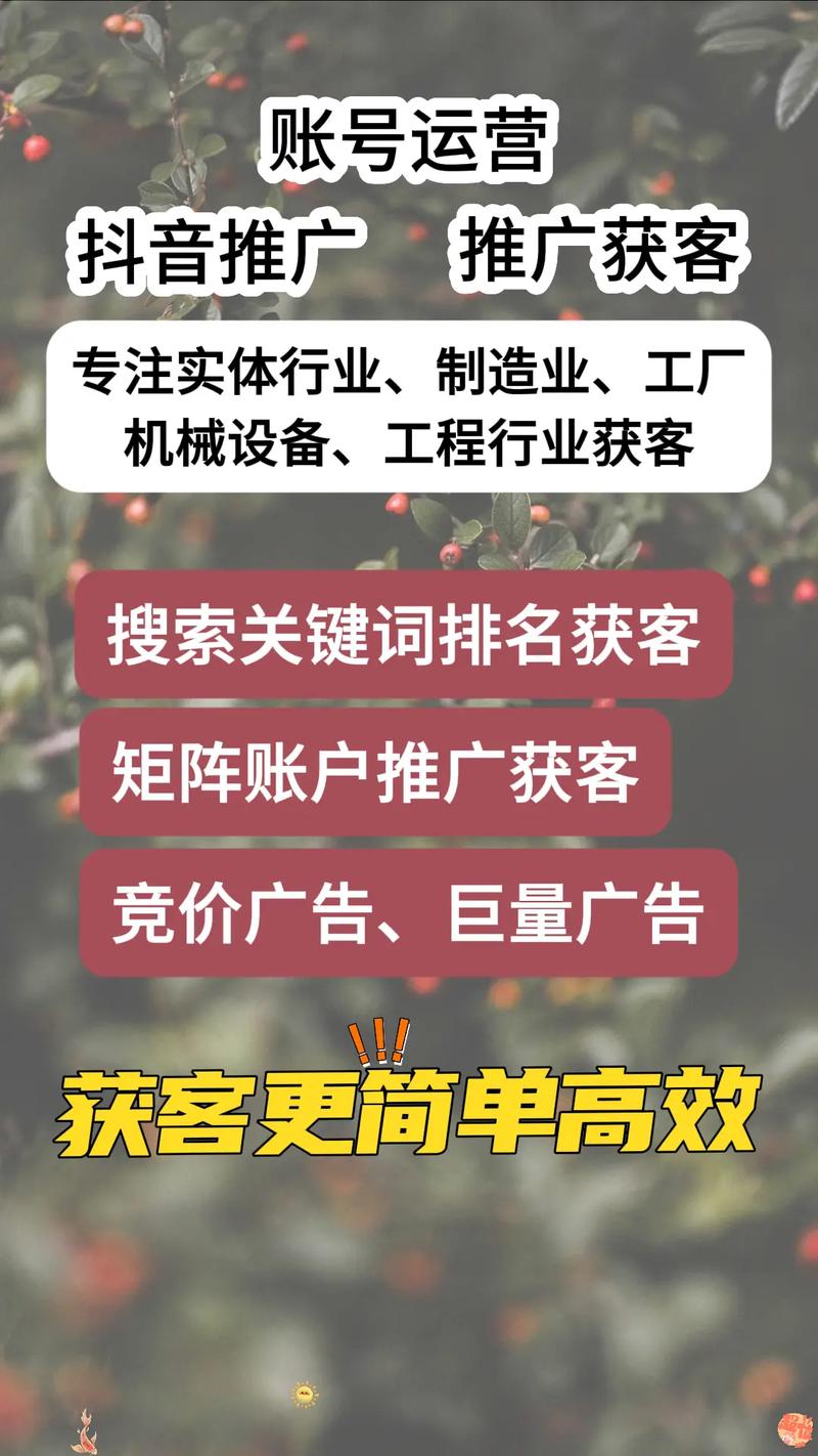 企石抖音seo运营