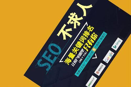 seo不文可以学不