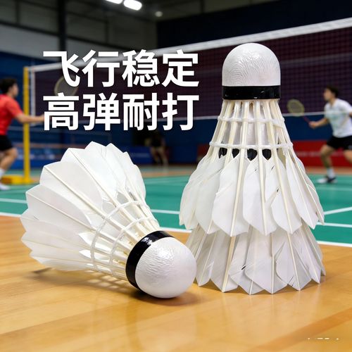 seo训练教程