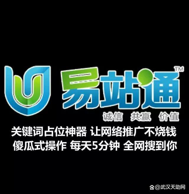 武汉网站seo公司