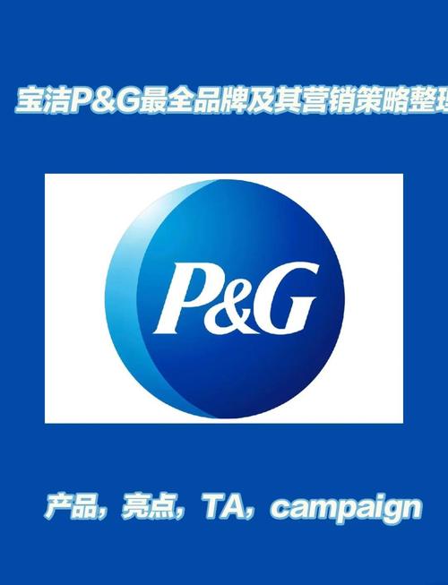 seo宝洁的简单介绍