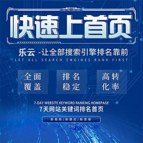 北京seo软件知名乐云seo品牌