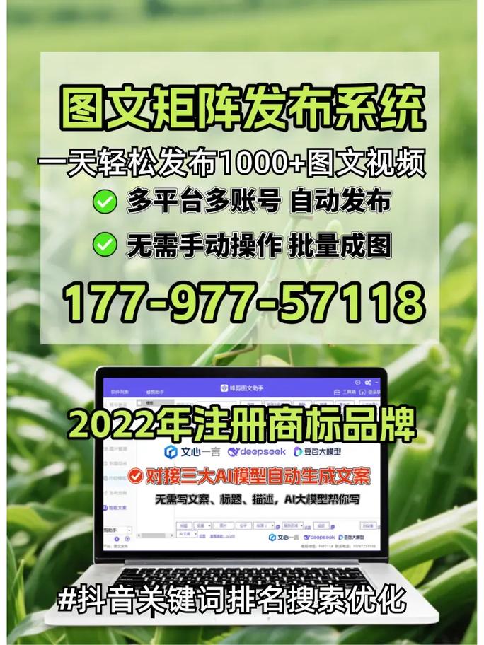 网站关键词排名优化