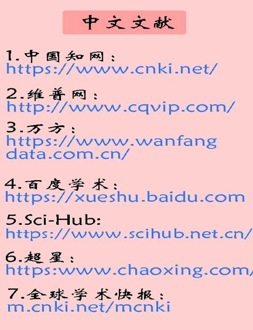 中文seo网站