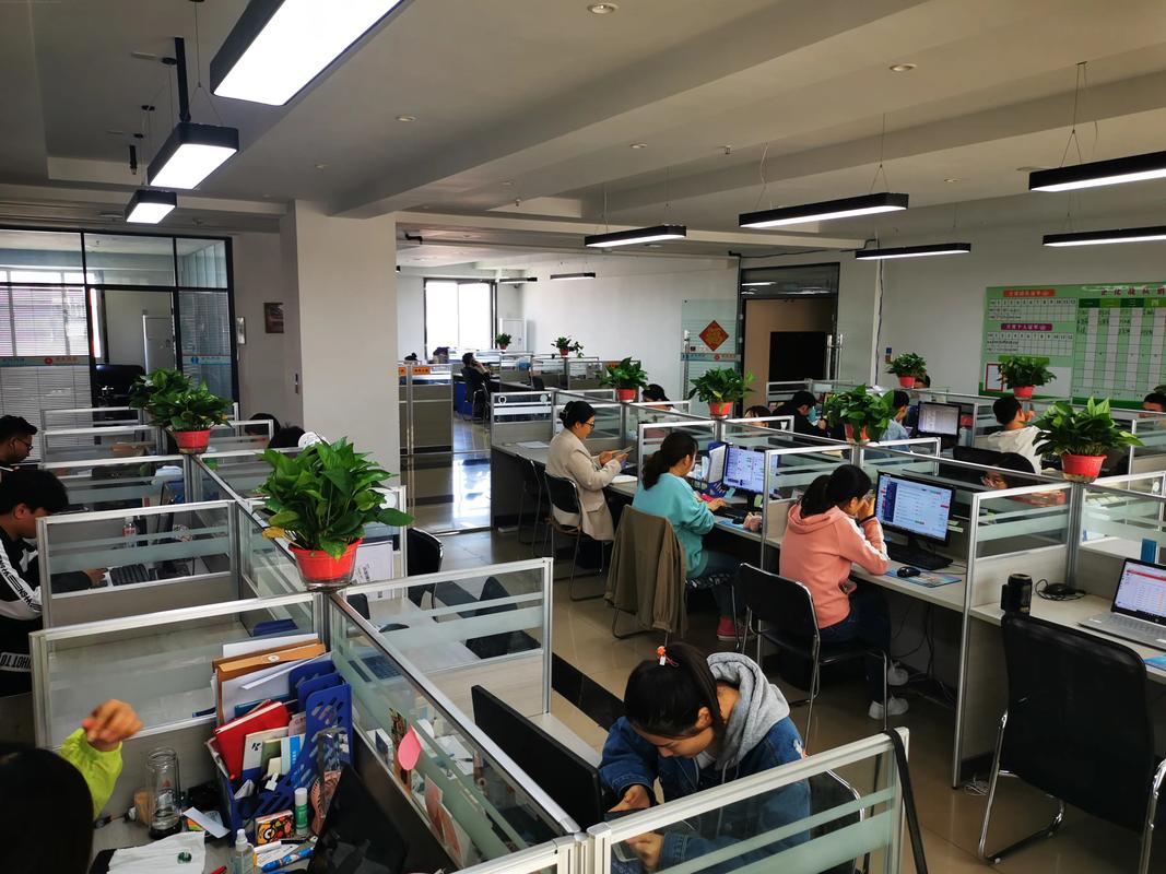 通化网站优化服务商