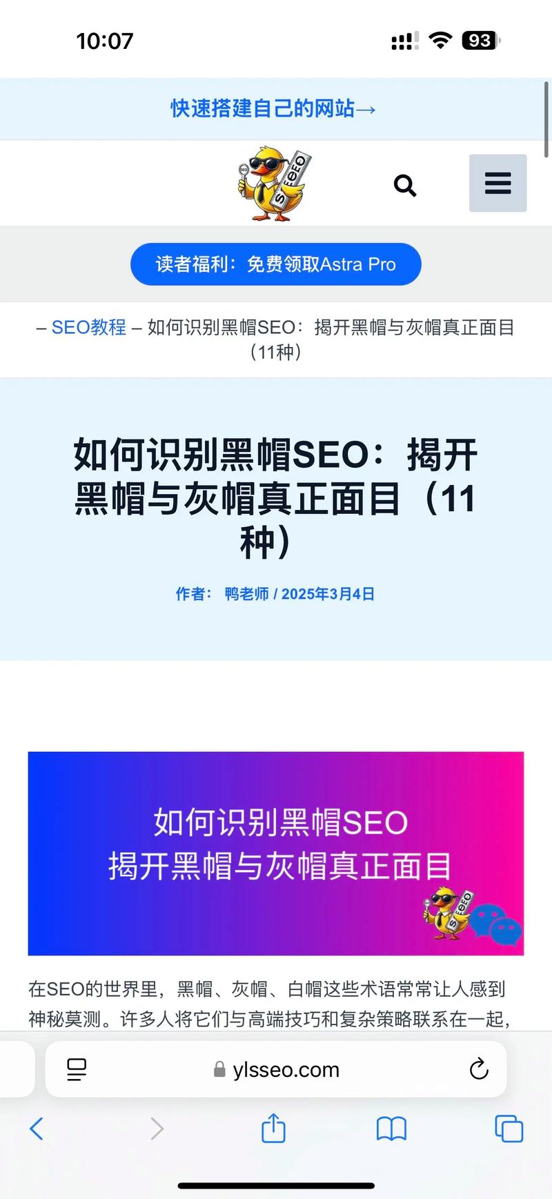 灰帽seo名词解释