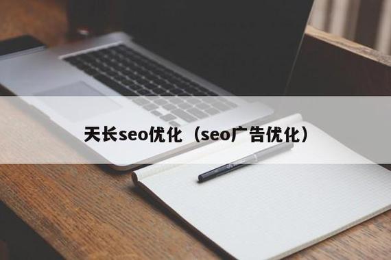 天长seo优化