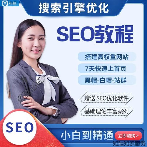 seo教程视频全集网站