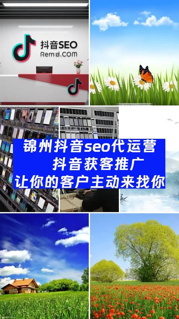 锦州抖音seo