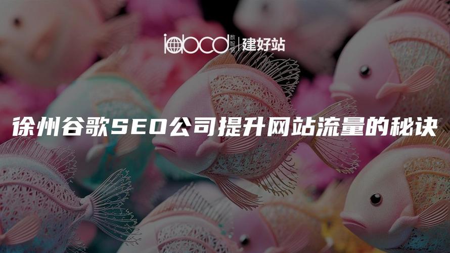 徐州网络seo