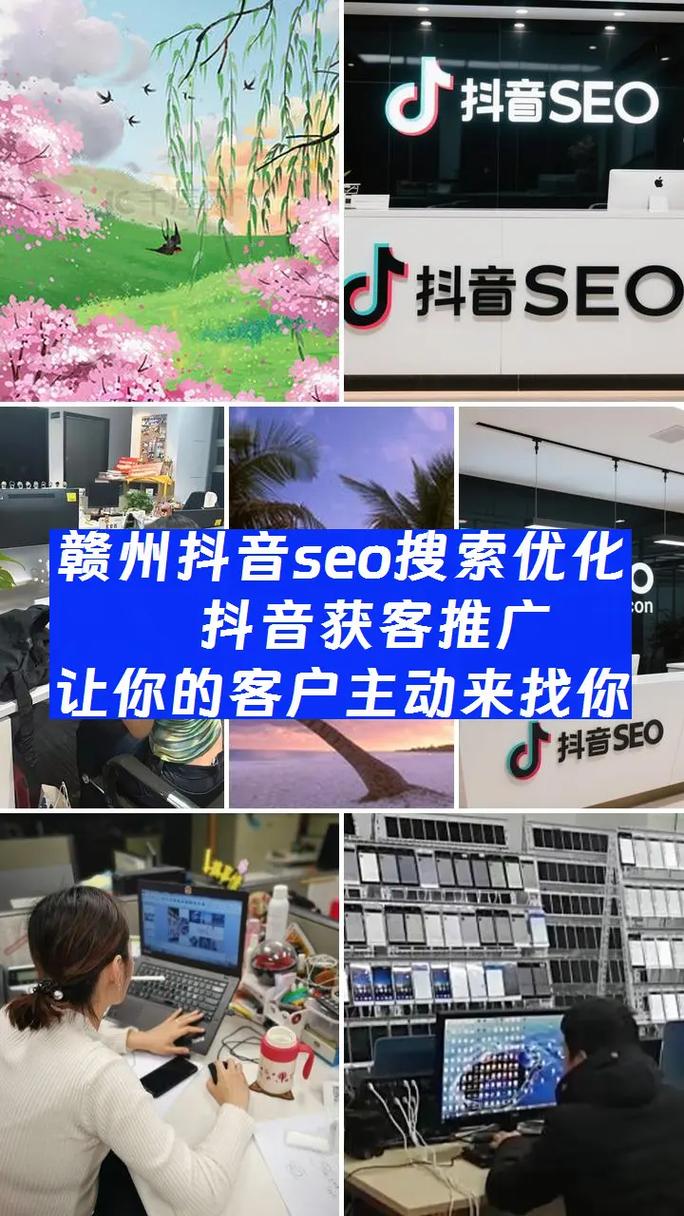 赣州seo站内优化