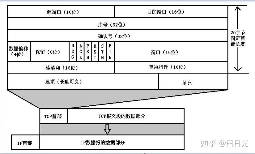 包含tcpsynseo的词条