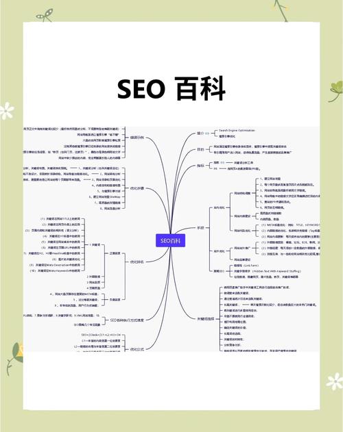 seo优化什么专业