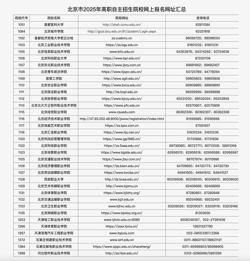 西城专业网站优化排名
