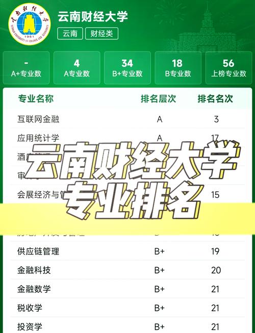 云南省seo排名