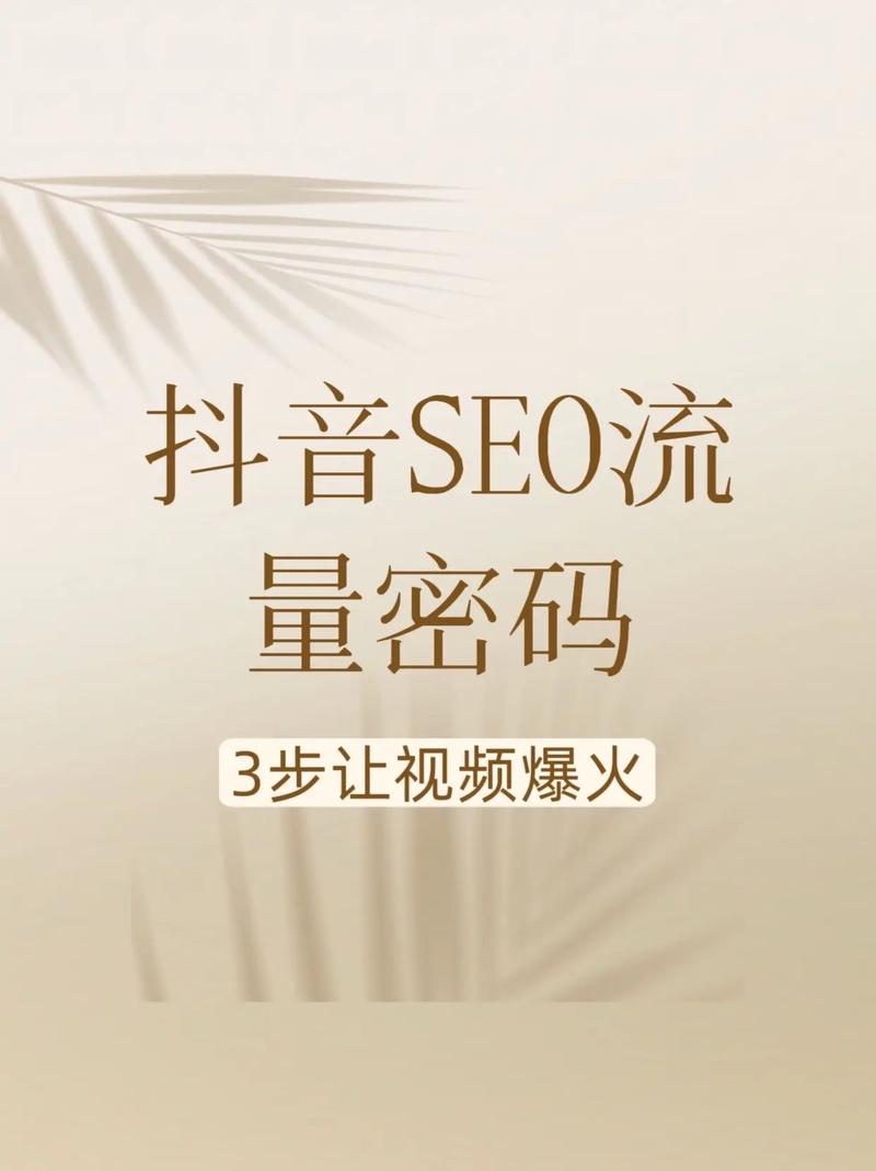 山西抖音seo合作