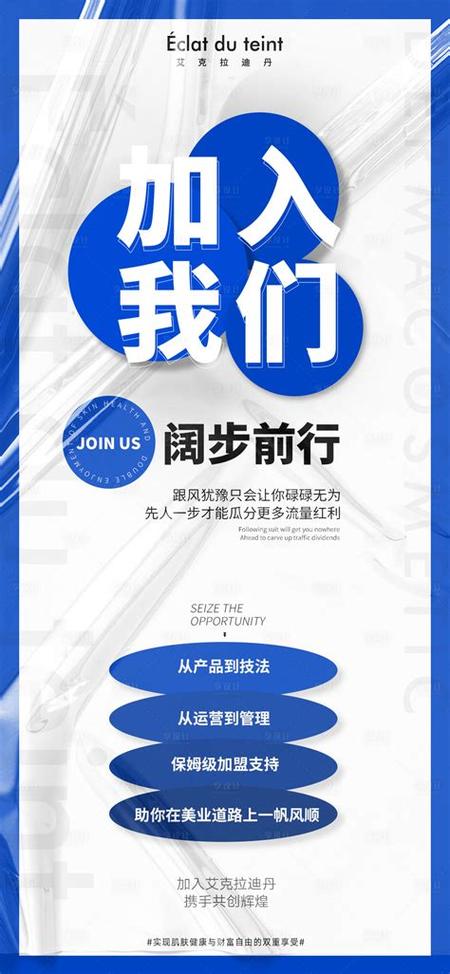 河北seo优化项目招商