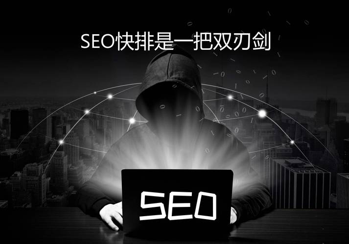 海南seo快排公司