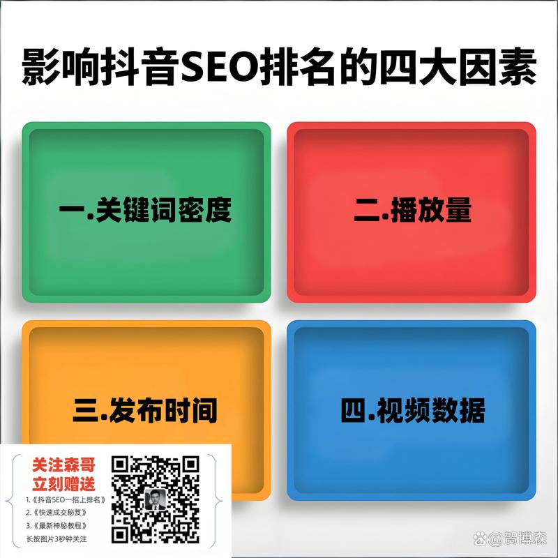 视频seo排名