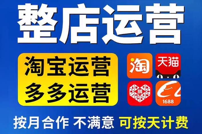 无锡专业seo优化站