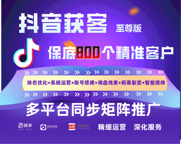 短视频多平台seo系统