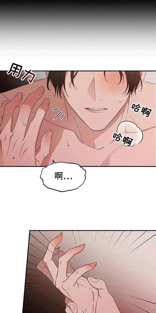 seo动漫肉在线