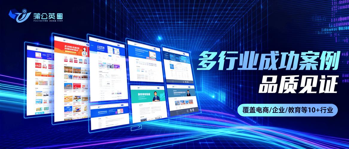 专业的网站优化加盟
