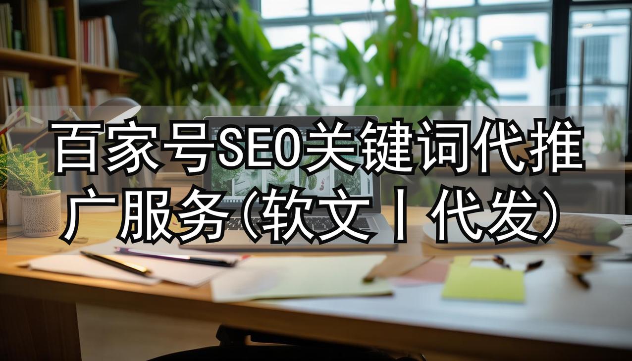 老张seo优化