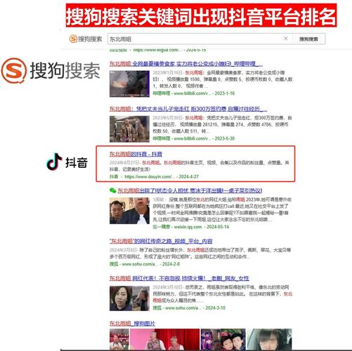 文山抖音seo排名方案
