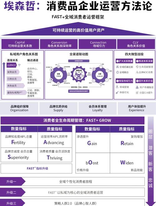 seo网络销售策略分析