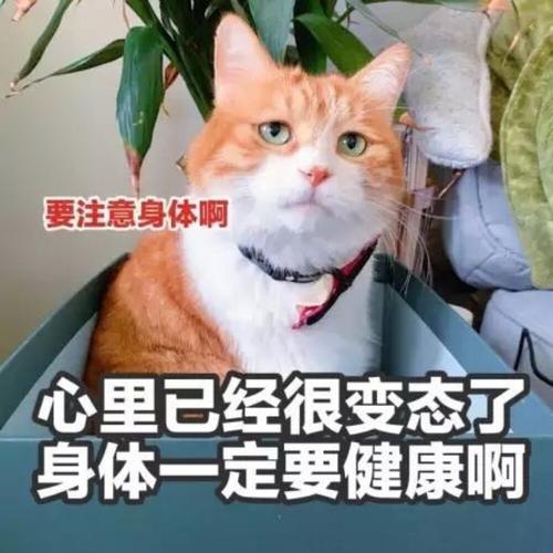 seo们要注意身体啊