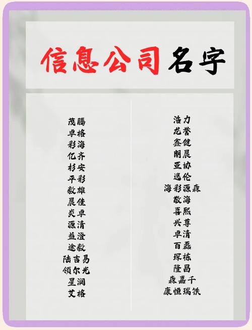 网站优化类公司名字大全